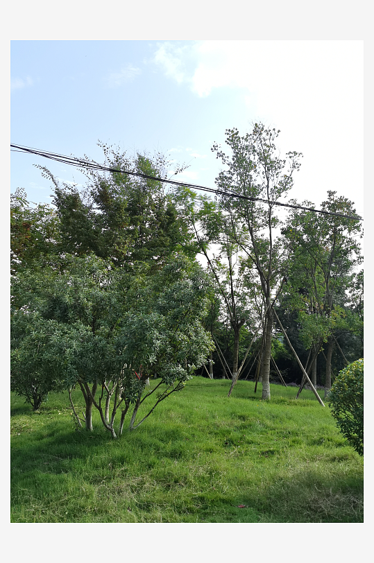 清新宜人生态公园环境-众图网