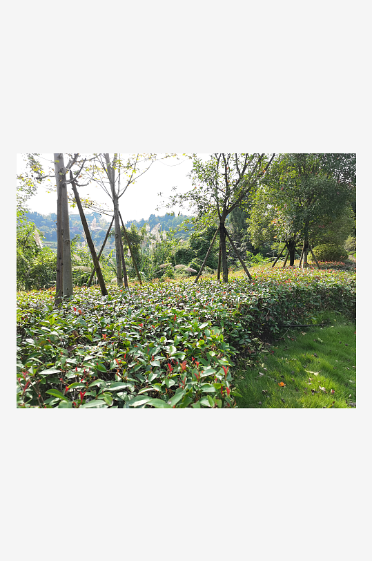 清新舒适的生态公园环境-众图网