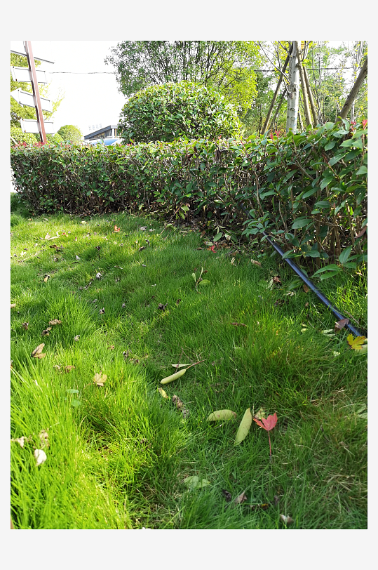 清新舒适的生态公园-众图网