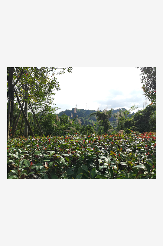 清新舒适的生态公园-众图网