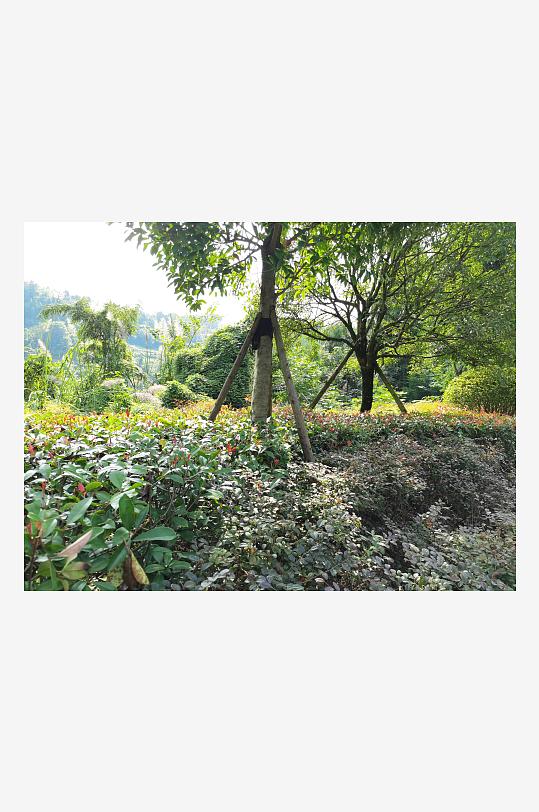 清新舒适的生态公园-众图网