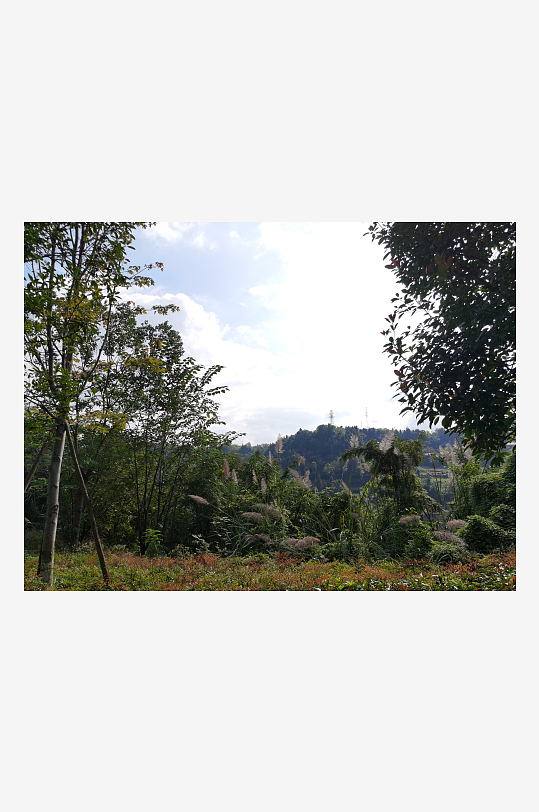 清新舒适的生态公园-众图网