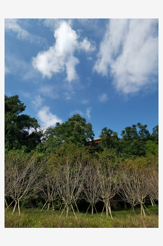 清新舒适的生态公园-众图网