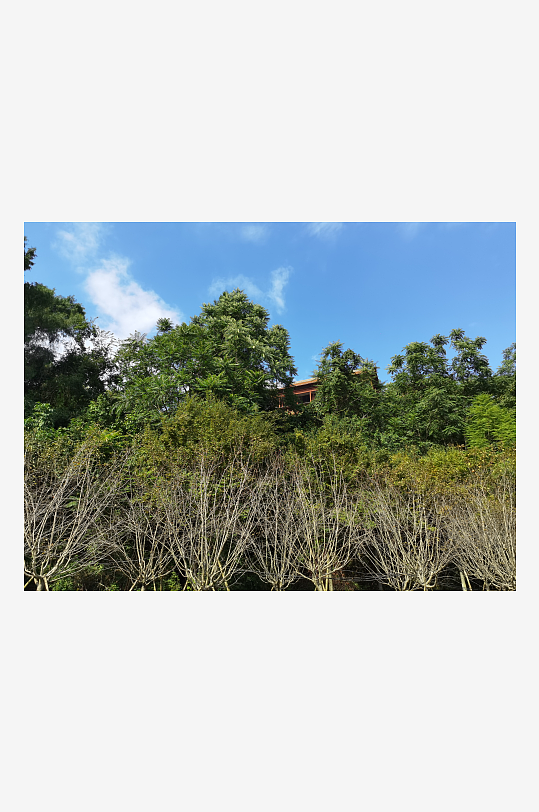 清新舒适的生态公园-众图网