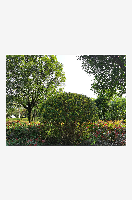 清新舒适的生态公园-众图网