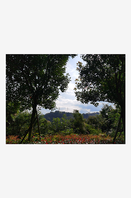 清新舒适的生态公园-众图网