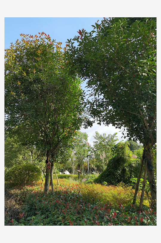 舒适宜人的生态公园-众图网