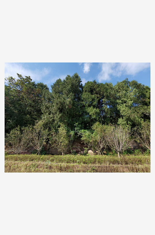 舒适宜人的生态公园-众图网