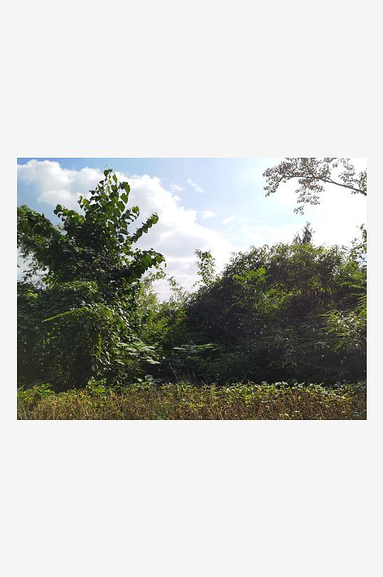 生态自然的公园环境-众图网