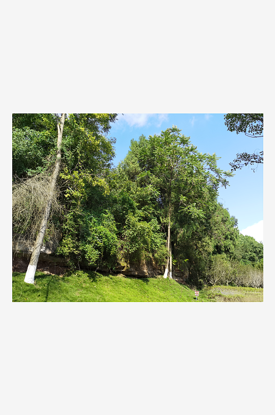 清新舒适的生态公园环境-众图网