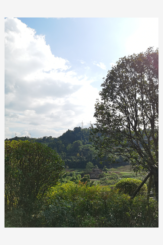 生态公园里繁茂的植物-众图网