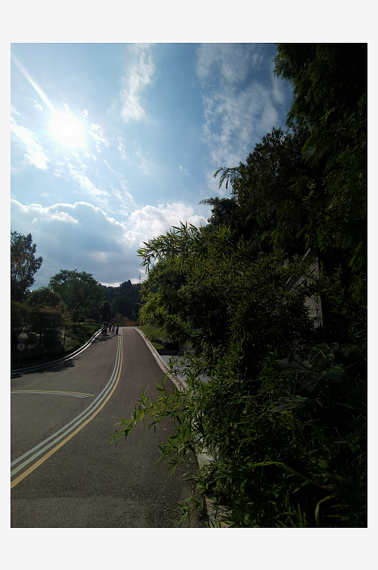 清新舒适公园美景-众图网