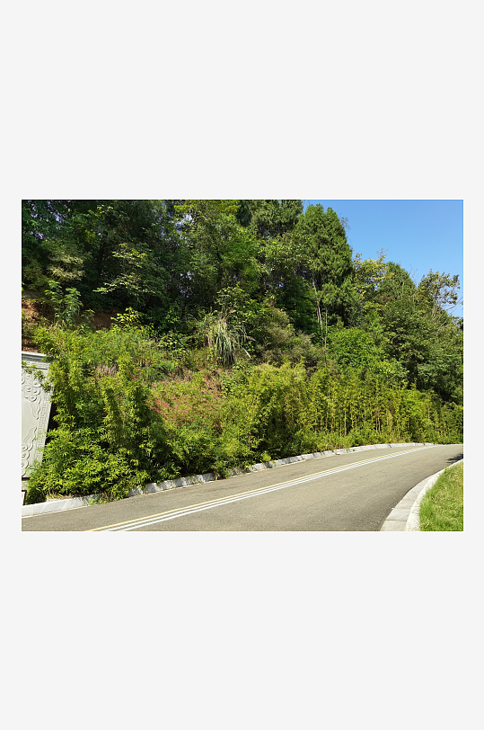 清新舒适公园美景-众图网