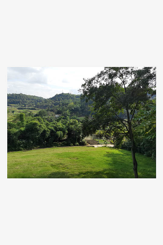 绿植环绕的森林公园美景-众图网