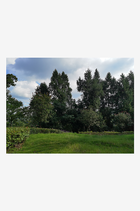 绿植环绕的森林公园美景-众图网