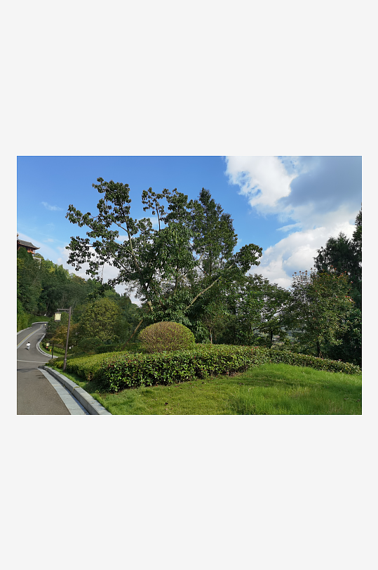 翠绿清新的生态公园-众图网