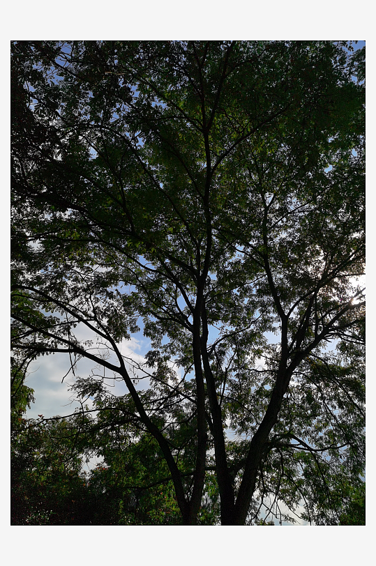 翠绿清新的生态公园-众图网