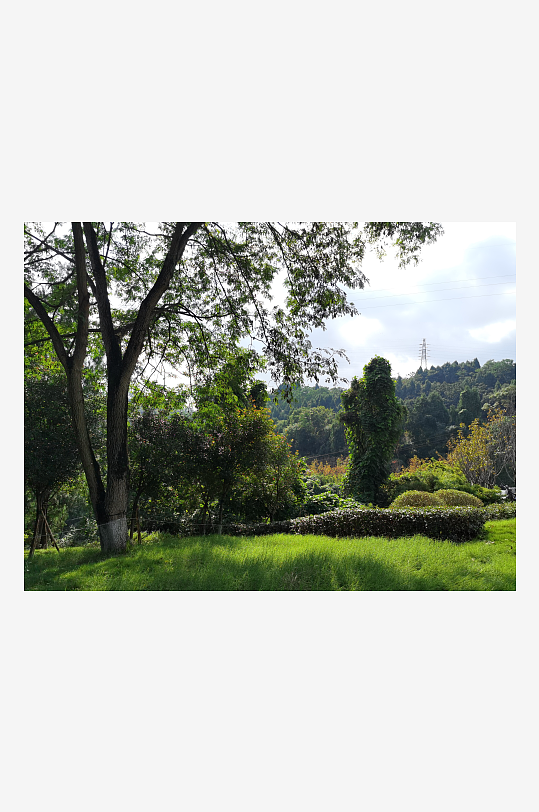 翠绿清新的生态公园-众图网