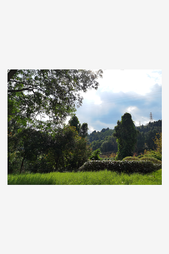 翠绿清新的生态公园-众图网