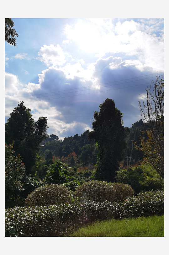 翠绿清新的生态公园-众图网