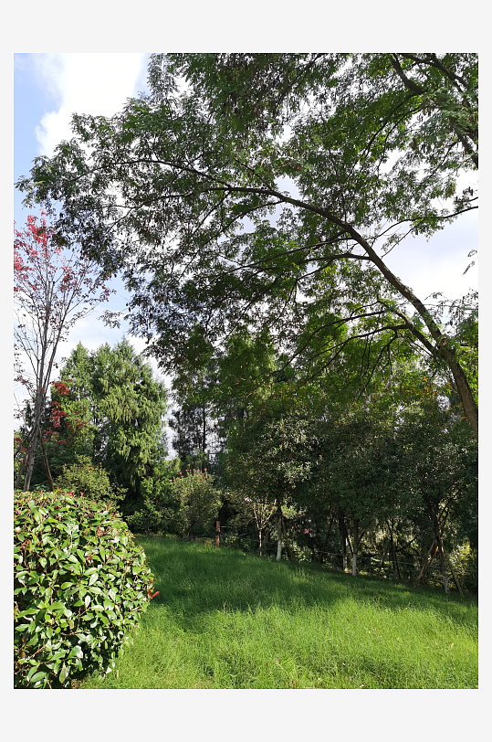 绿意盎然的生态公园-众图网