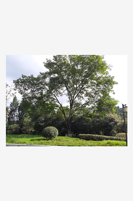 绿意盎然的生态公园-众图网