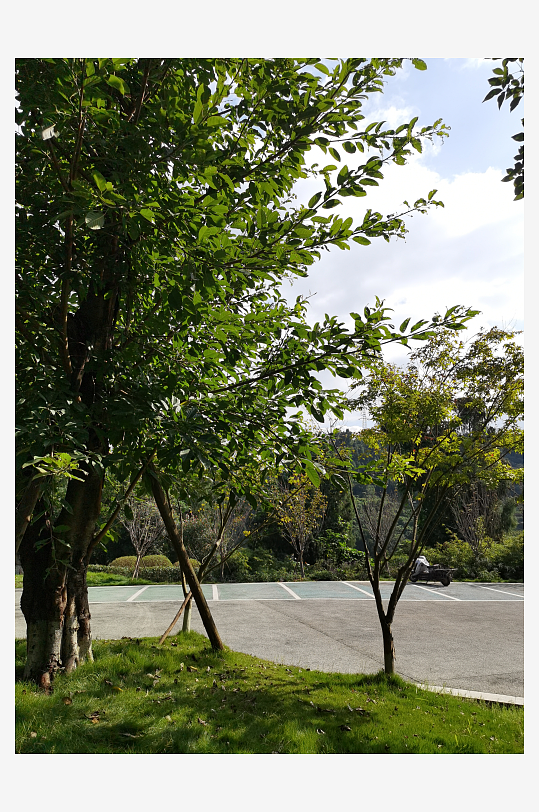 绿意盎然的生态公园-众图网