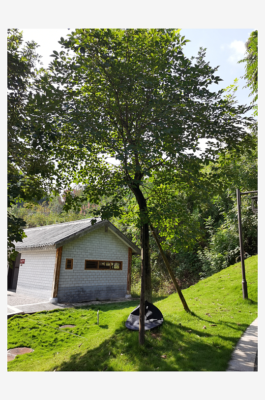 绿意盎然的生态公园-众图网