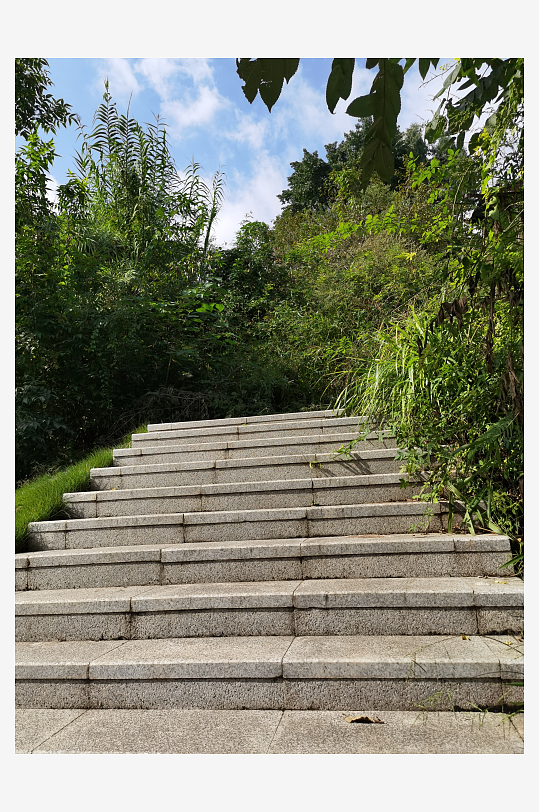 绿意盎然的生态公园-众图网