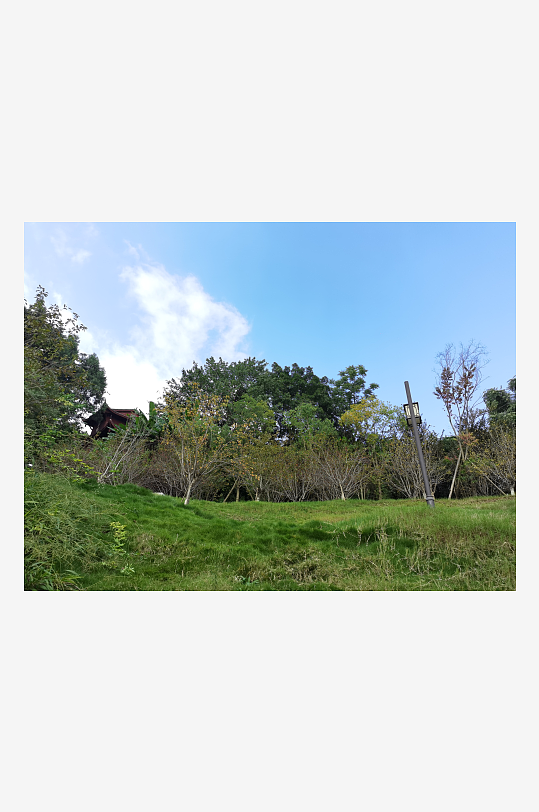 舒适清新的生态公园-众图网