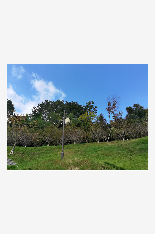 舒适清新的生态公园-众图网