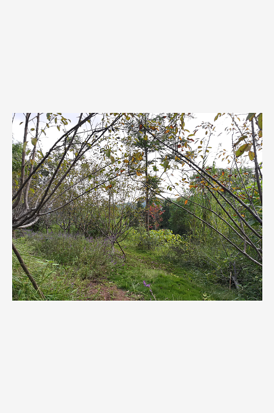 舒适清新的生态公园-众图网