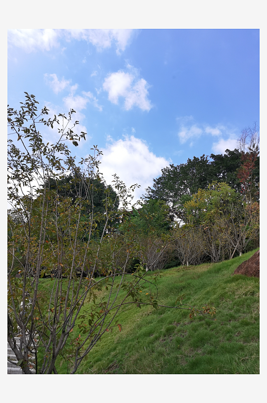 舒适清新的生态公园-众图网