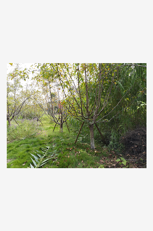 舒适清新的生态公园-众图网