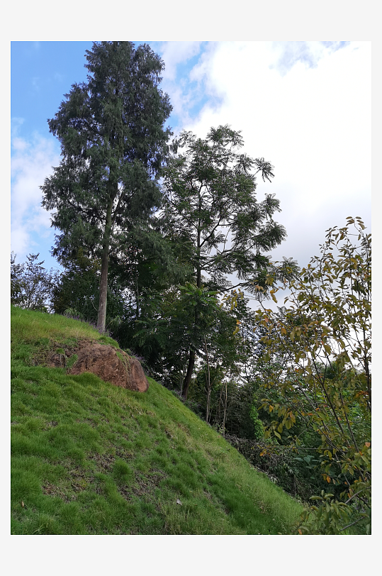 舒适清新的生态公园-众图网