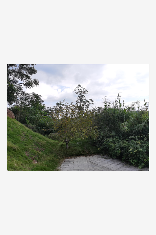 舒适清新的生态公园-众图网