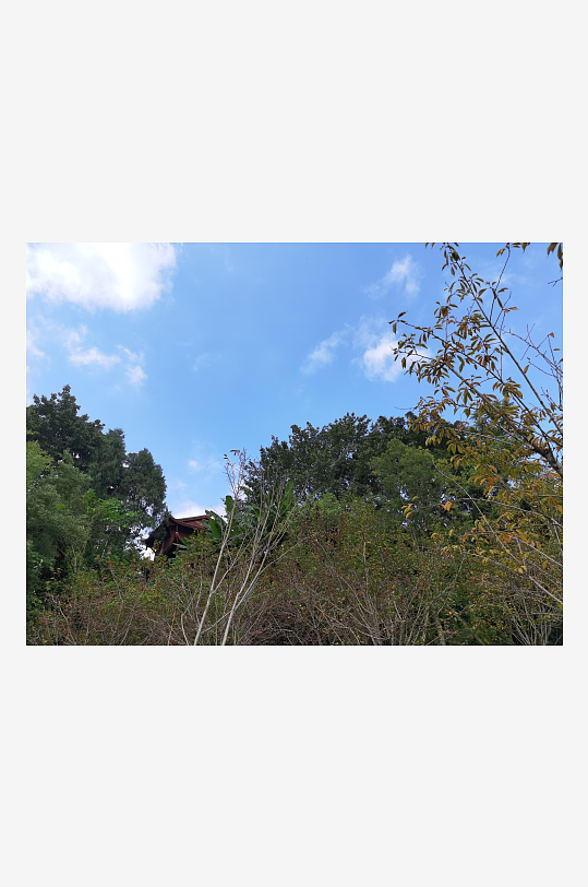 舒适清新的生态公园-众图网