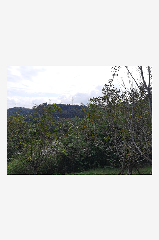 舒适清新的生态公园-众图网