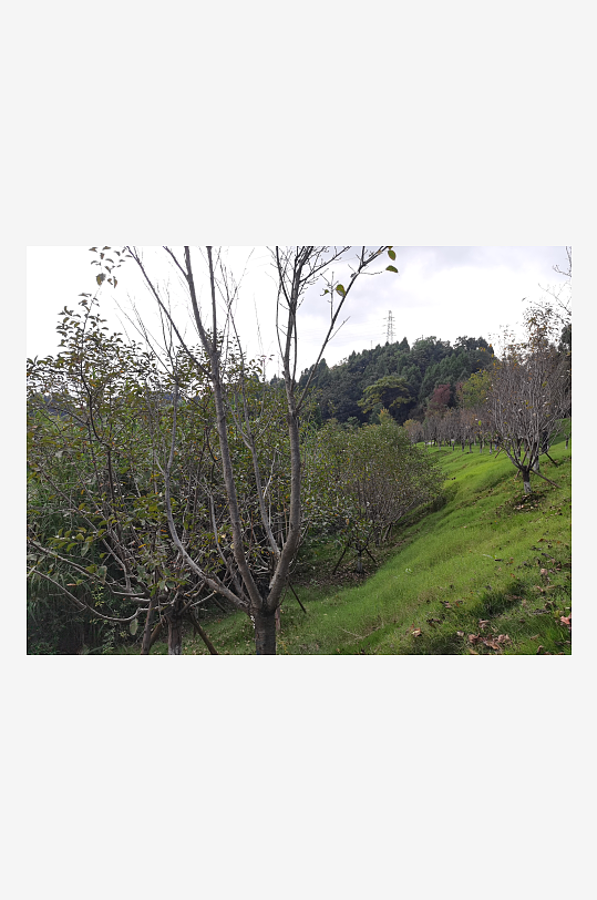 舒适清新的生态公园-众图网