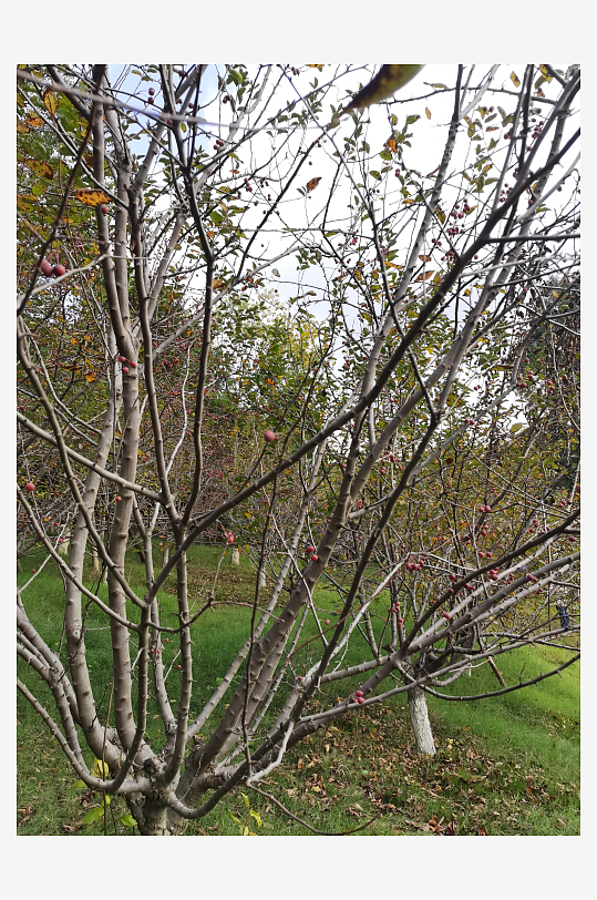 舒适清新的生态公园-众图网