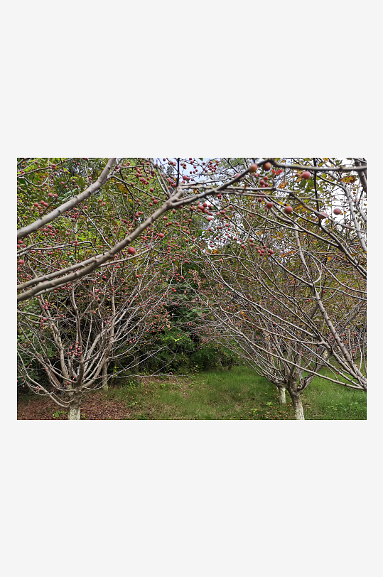 休闲舒适的生态公园-众图网