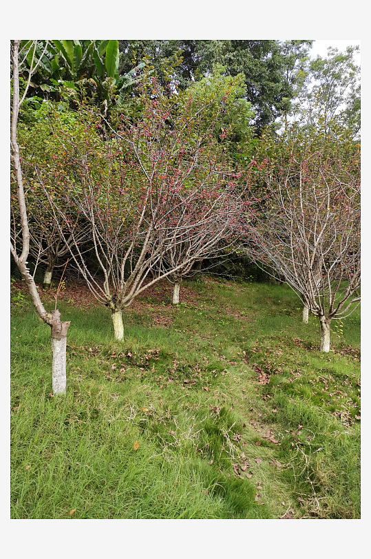 休闲舒适的生态公园-众图网