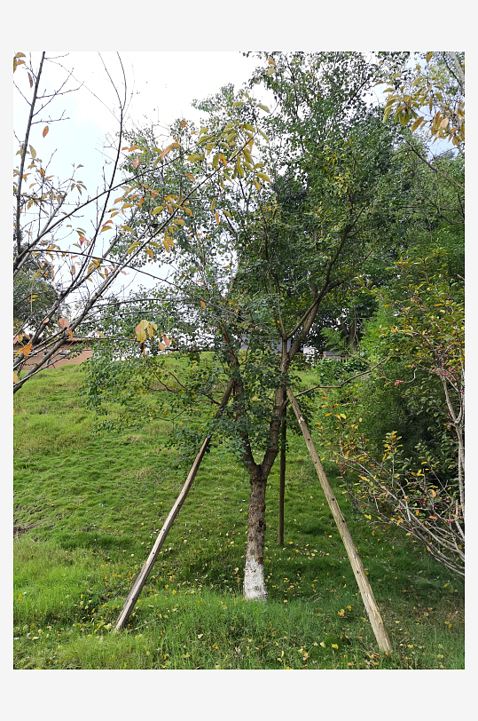 休闲舒适的生态公园-众图网