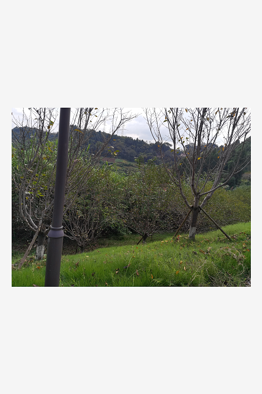 休闲舒适的生态公园-众图网