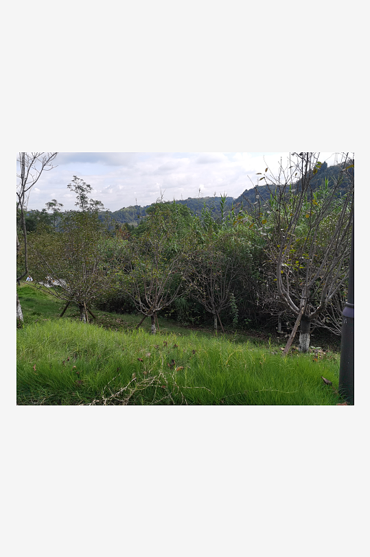 休闲舒适的生态公园-众图网