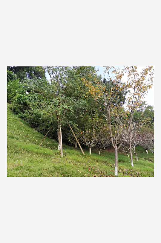 休闲舒适的生态公园-众图网