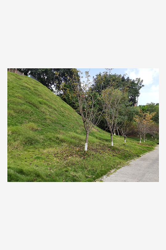 休闲舒适的生态公园-众图网