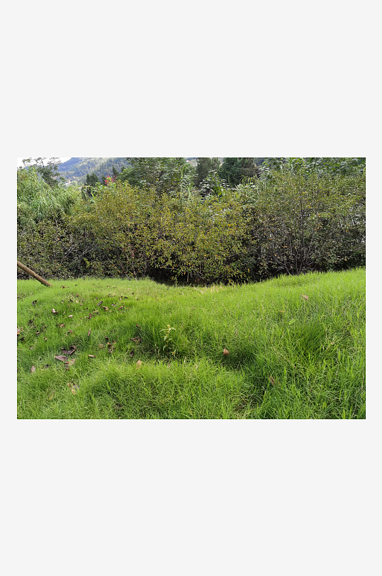 休闲舒适的生态公园-众图网