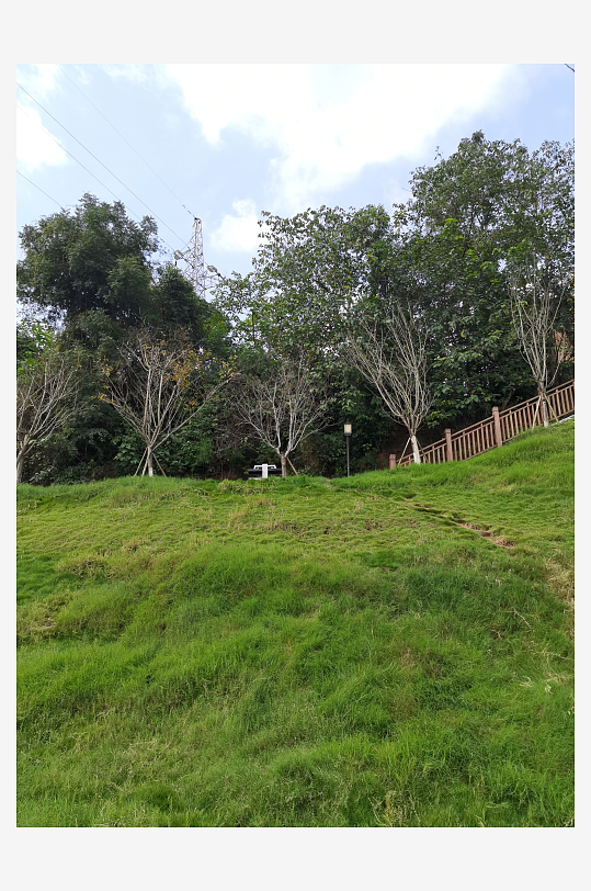 休闲生态公园环境-众图网