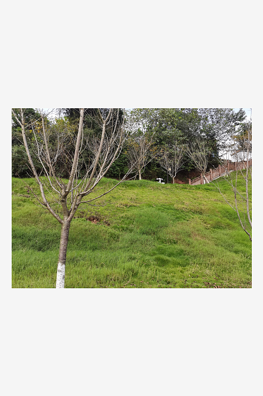 休闲生态公园环境-众图网